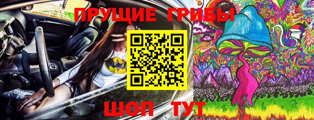 Псилоцибиновые грибы Cubensis  Вход с VPN  Каменск-Уральский  цены наркотик  Галлюциногенные грибы Magic Shrooms 